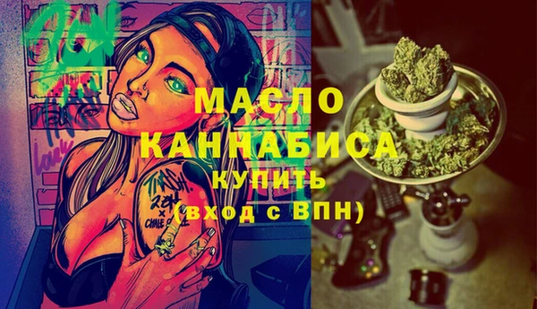 spice Каменка