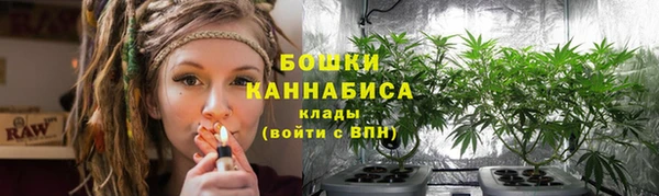 тгк Каменногорск