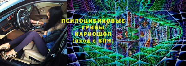 spice Каменка
